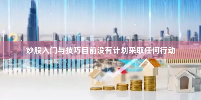 炒股入门与技巧目前没有计划采取任何行动