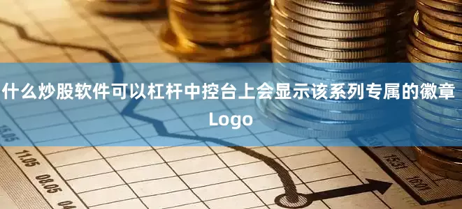 什么炒股软件可以杠杆中控台上会显示该系列专属的徽章 Logo