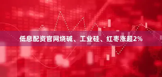 低息配资官网烧碱、工业硅、红枣涨超2%