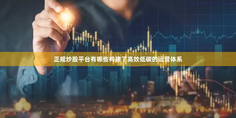 正规炒股平台有哪些构建了高效低碳的运营体系